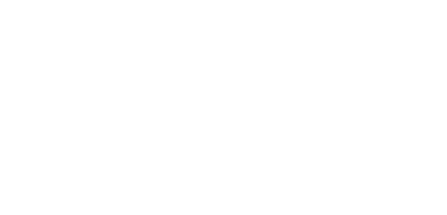 ADVIGA.png